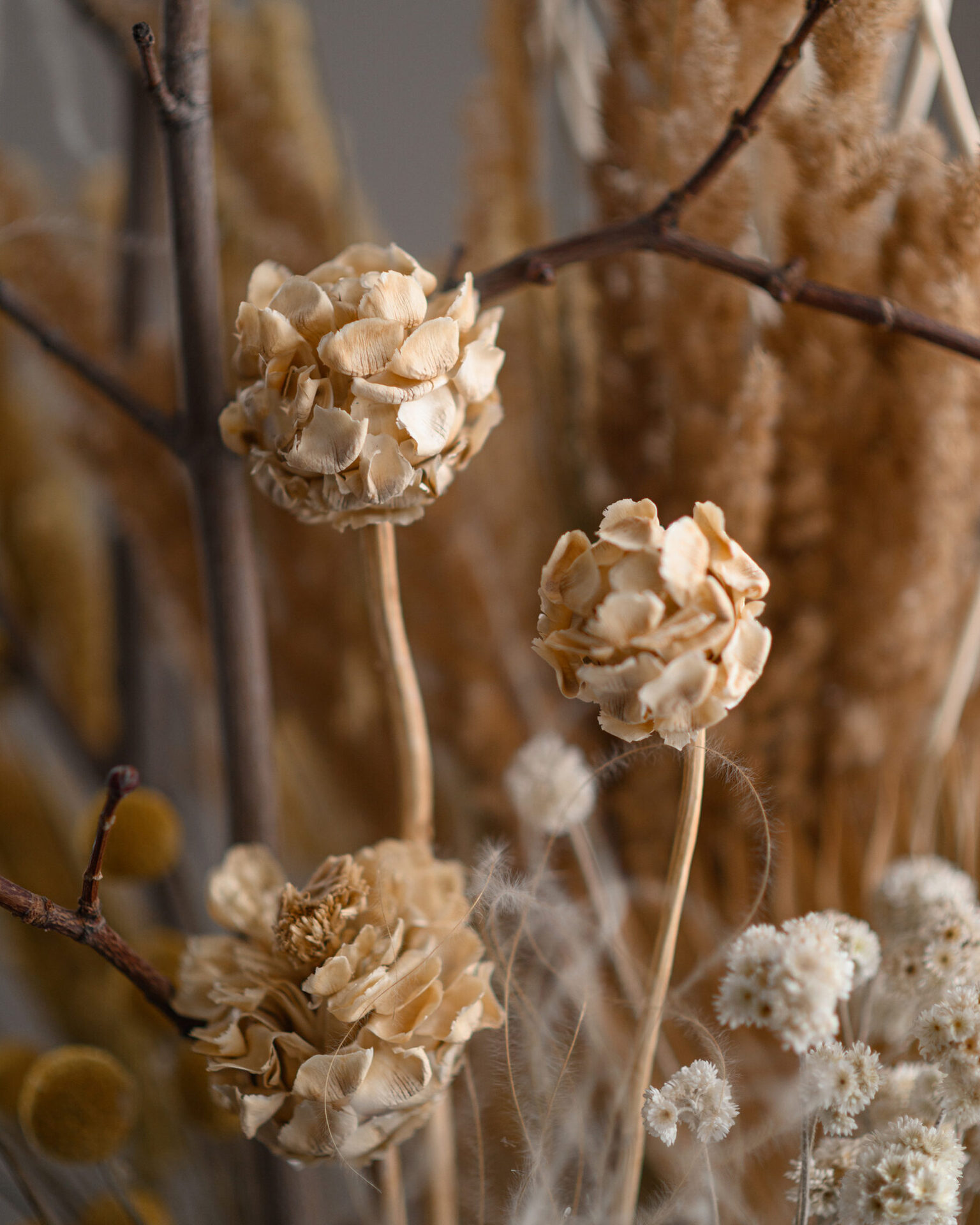 Бутоньерка